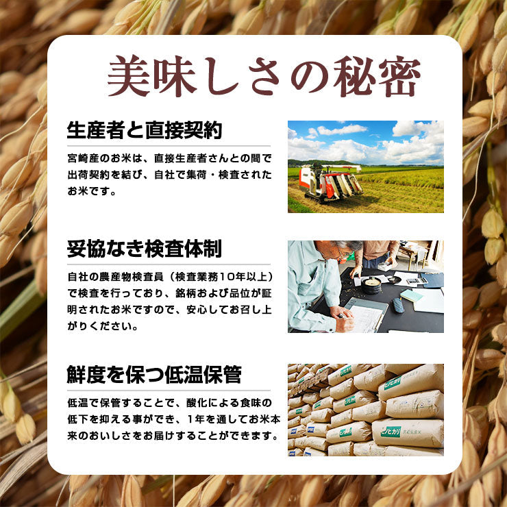 【新米】コシヒカリ 白米 20kg(5kg×4袋) 令和３年 宮崎県産
