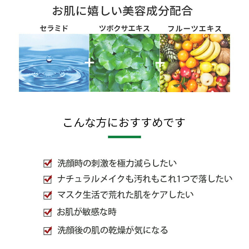 【2個セット/送料込み】セラミド クレンジング フォーム CICA 100ml×2個 洗顔 シカ ツボクサ 乾燥 敏感 低刺激 Wクレンジング メイク落とし 化粧落とし 洗顔料 洗顔フォーム メイクオフ eyenlip アイアンリップ アインリップ 韓国製 韓国コスメ 定形外 送料込み
