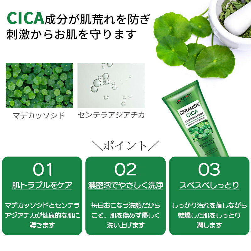 【2個セット/送料込み】セラミド クレンジング フォーム CICA 100ml×2個 洗顔 シカ ツボクサ 乾燥 敏感 低刺激 Wクレンジング メイク落とし 化粧落とし 洗顔料 洗顔フォーム メイクオフ eyenlip アイアンリップ アインリップ 韓国製 韓国コスメ 定形外 送料込み
