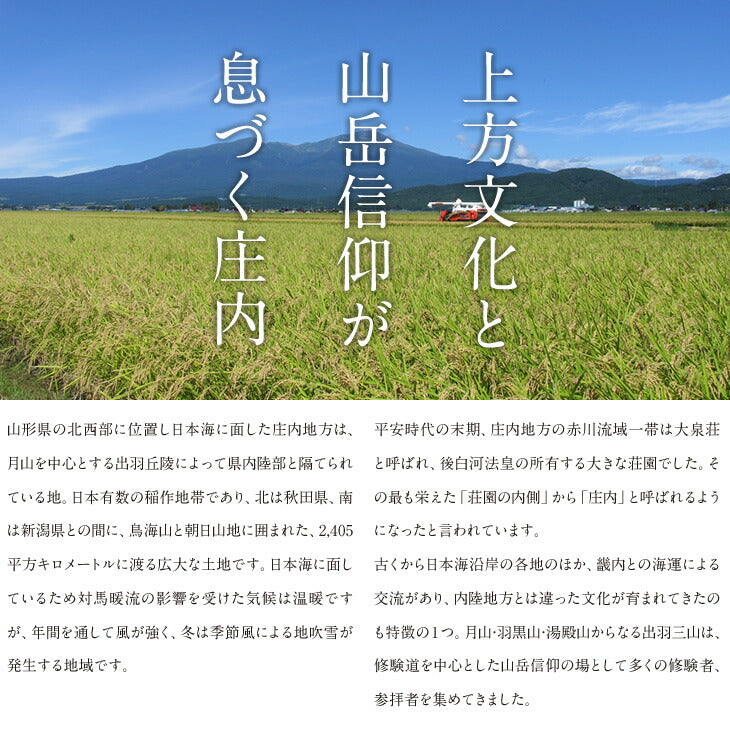 【贈答用】 山形県産 青肉メロン(品種おまかせ)約2.5kg・2玉入り※一部地域は別途送料【のし対応】mr04