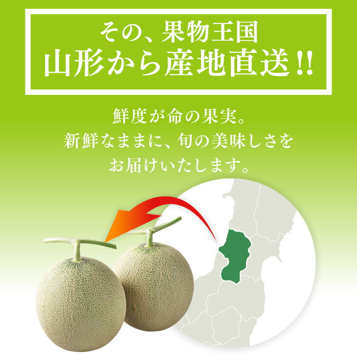 予約商品 贈答用 山形県産タカミメロン約2kg・2玉（3L〜4Lサイズ）※一部地域は別途送料追加　mr06