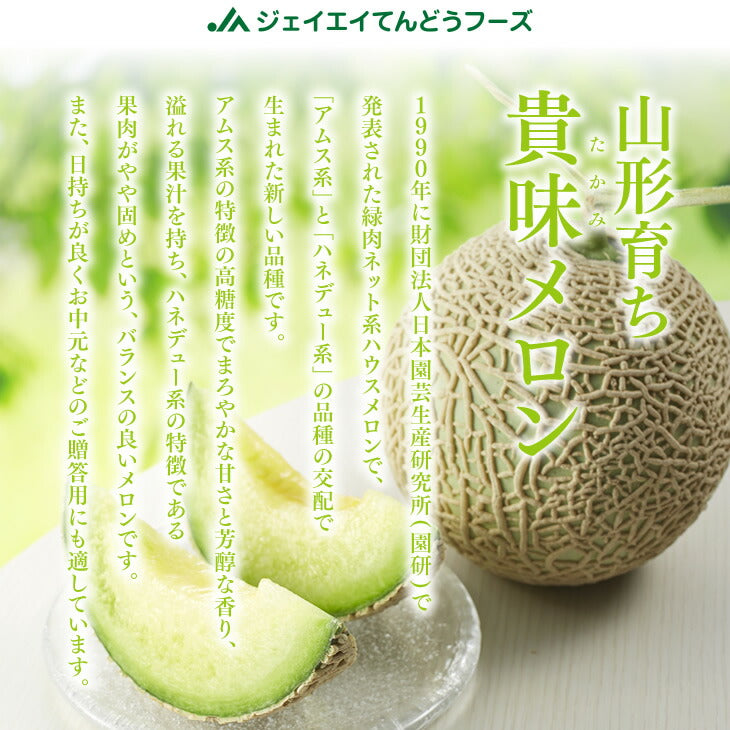 予約商品 贈答用 山形県産タカミメロン約2kg・2玉（3L〜4Lサイズ）※一部地域は別途送料追加　mr06