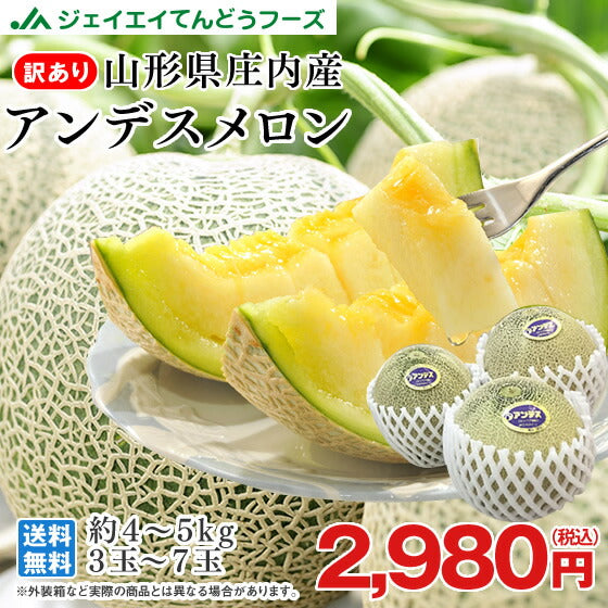 送料無料 お中元 ギフト 山形県産青肉メロン(品種おまかせ)約2.5kg・2玉いり※一部地域は別途送料【のし対応】d2