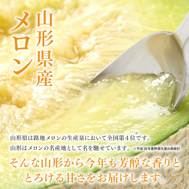 【早期予約】贈答用 山形県産 青肉メロン(品種おまかせ)約2.5kg・2玉入り※一部地域は別途送料【のし対応】mr04