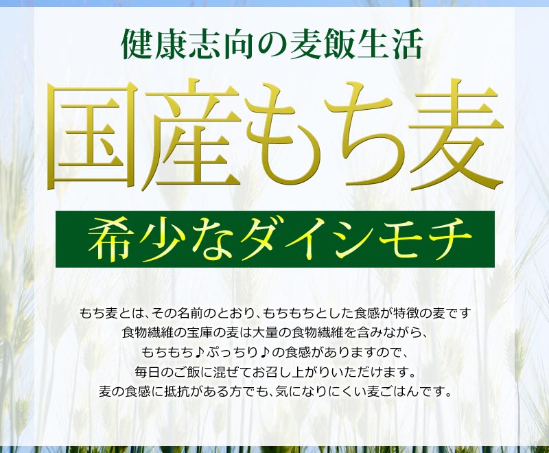 もち麦 国産 900g ダイシモチ 茶紫色 雑穀 送料無料