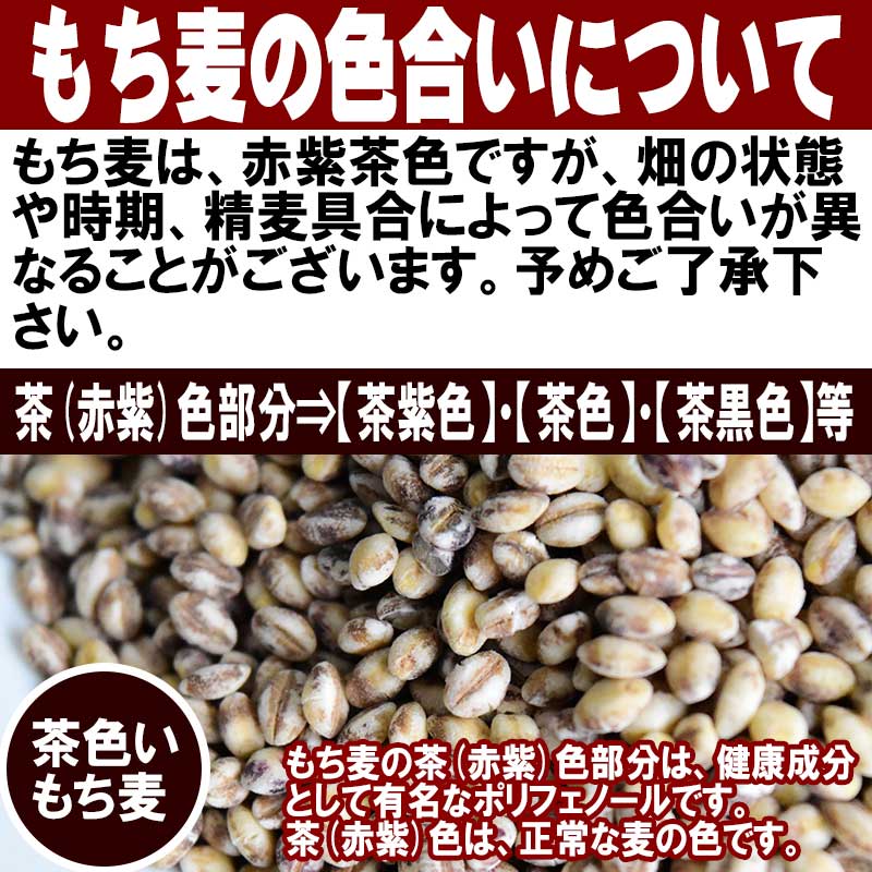 もち麦 国産 900g ダイシモチ 茶紫色 雑穀 送料無料