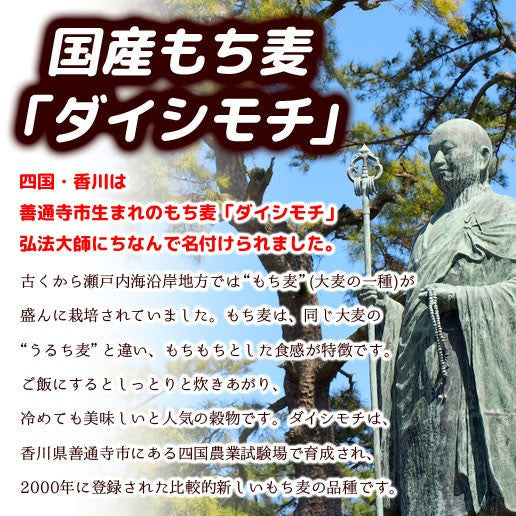 【限定クーポンで20%OFF】900g (450g×2)  国産もち麦 送料無料