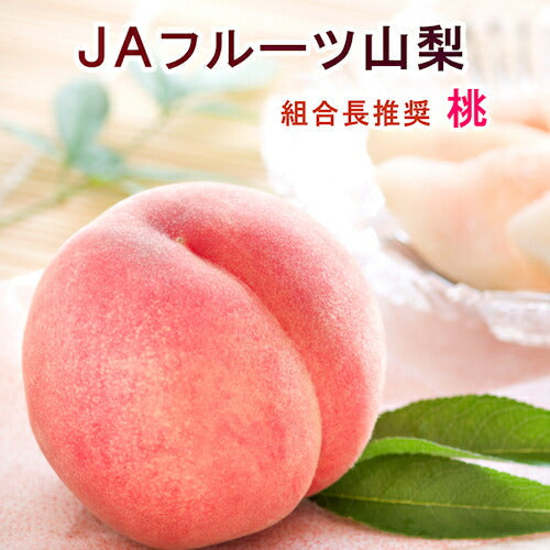 【フルーツ 桃 もも 化粧箱入り】山梨県 ＪＡフルーツ山梨 組合長推奨の 桃(白鳳系)最高品質 化粧箱３個入り 約1kg送料無料【果物 贈答品 ギフト】