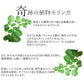 モリンガパウダー 粉末 モリンガ茶 モリンガ青汁 オーガニック 有機JAS 無農薬 無添加 50g