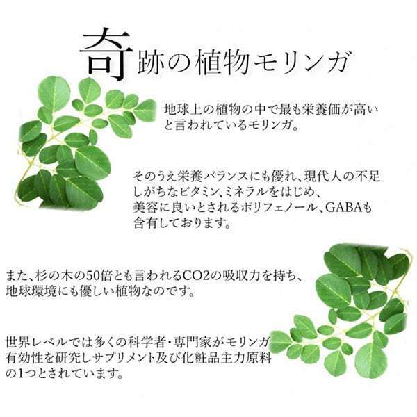 モリンガパウダー 粉末 モリンガ茶 モリンガ青汁 オーガニック 有機JAS 無農薬 無添加 50g