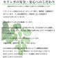 モリンガパウダー 粉末 モリンガ茶 モリンガ青汁 オーガニック 有機JAS 無農薬 無添加 50g