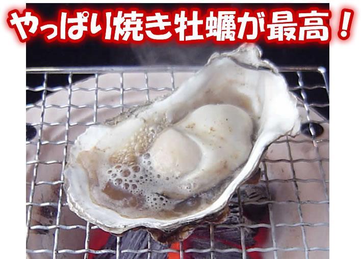 【先着10購入限定・20%OFF】45～60個入 岡山虫明産 曙牡蠣 2年物殻付きかき 加熱加工用