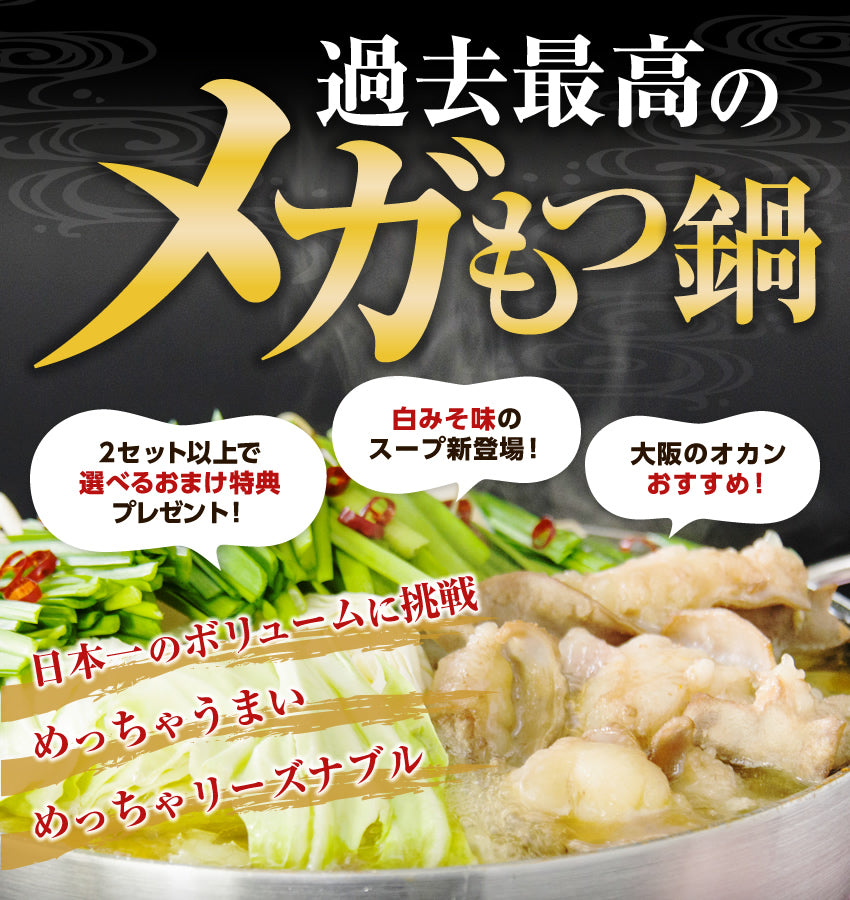 2～3人前 超メガ博多もつ鍋