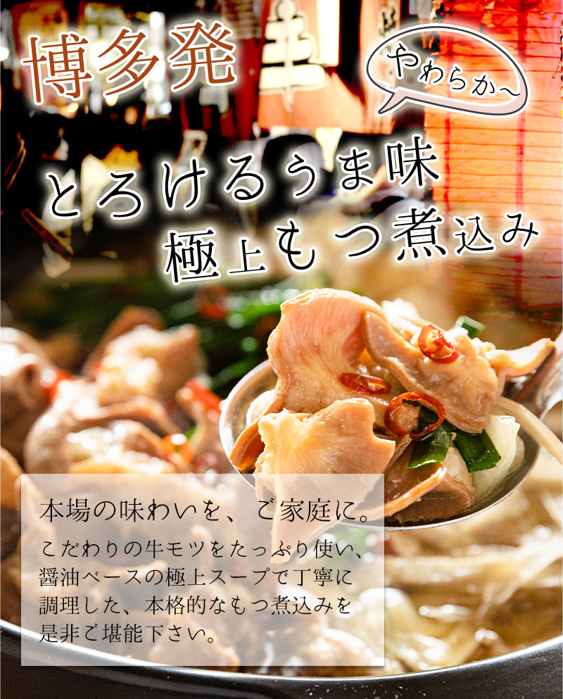 博多牛もつ鍋セット(3～4人前)