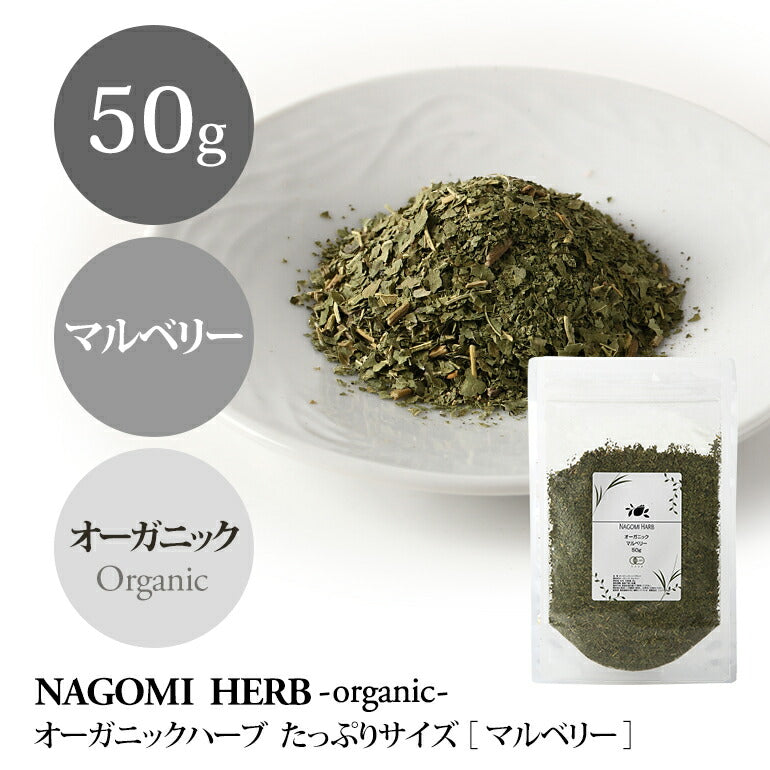 有機JAS オーガニック・ハーブ マルベリー 50g 【 マルベリーリーフ ハーブティー リーフ 茶葉 無農薬 】