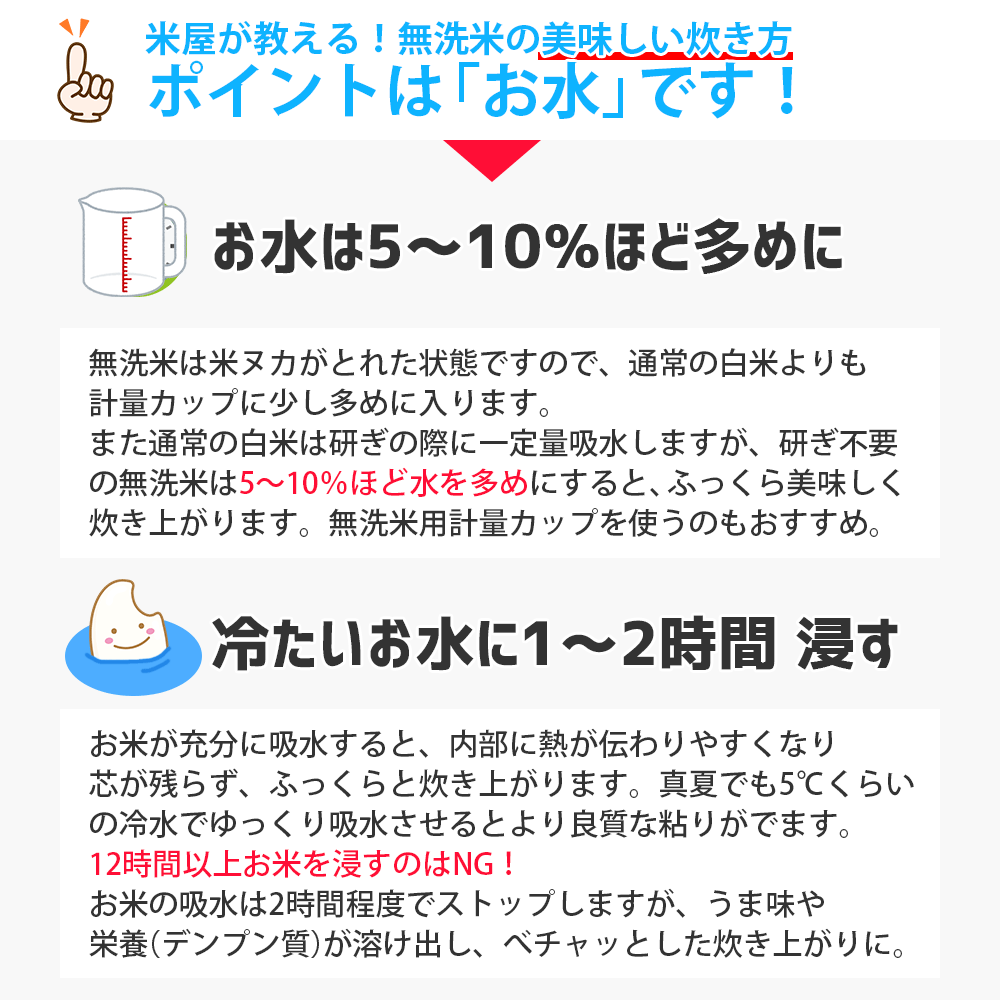 はえぬき 無洗米 10kg (5kg×2袋) 山形県産 令和3年産 送料無料 10キロ 米 こめ コメ お米 精米 新米