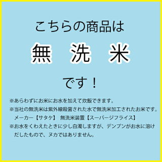 【スプリングセール・11%OFF・先着10購入限定】5kg×2袋【10kg】令和２年産 新米 無洗米 九州 宮崎県産こしひかり