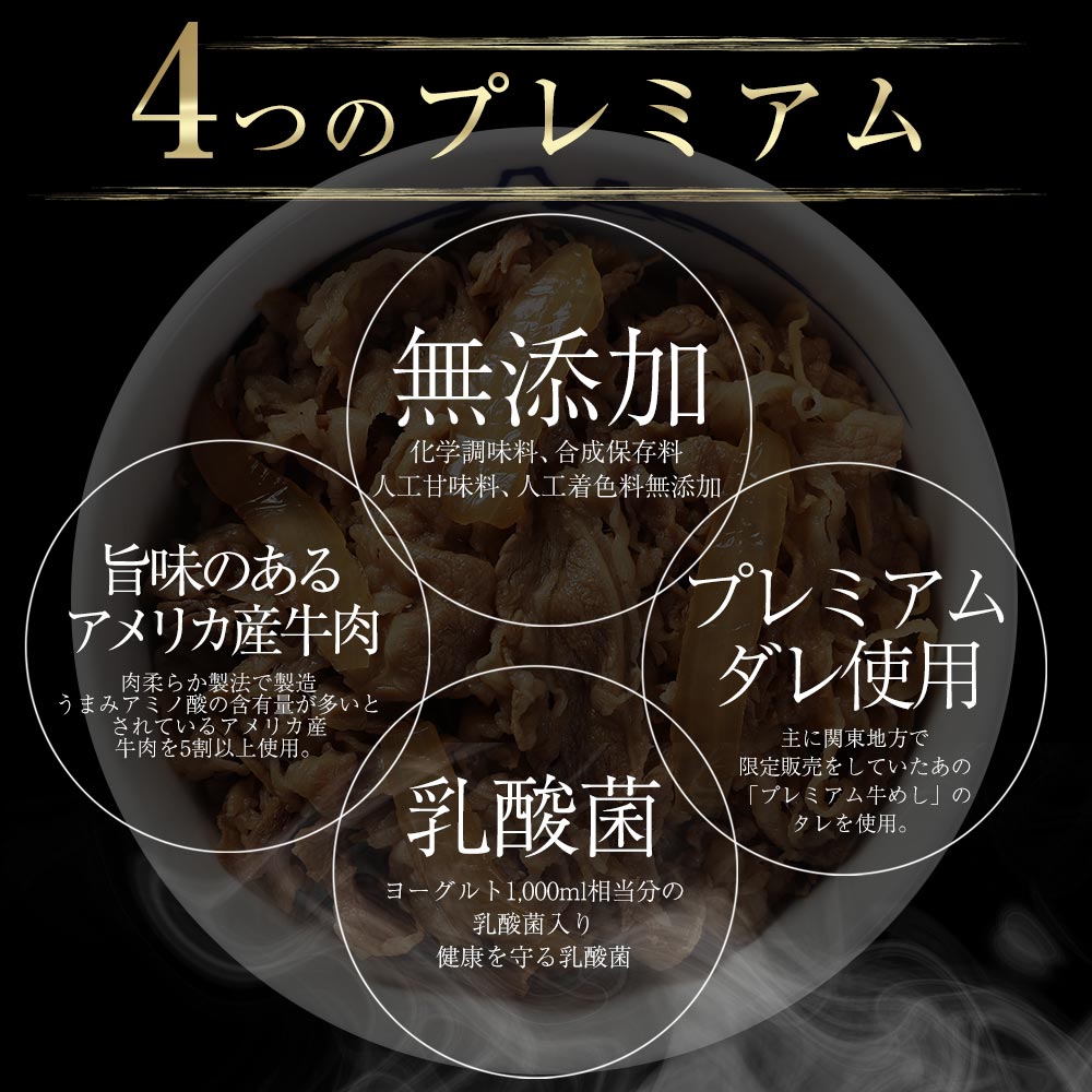 【限定クーポンで20%OFF】乳酸菌入り米国産牛めし10個セット