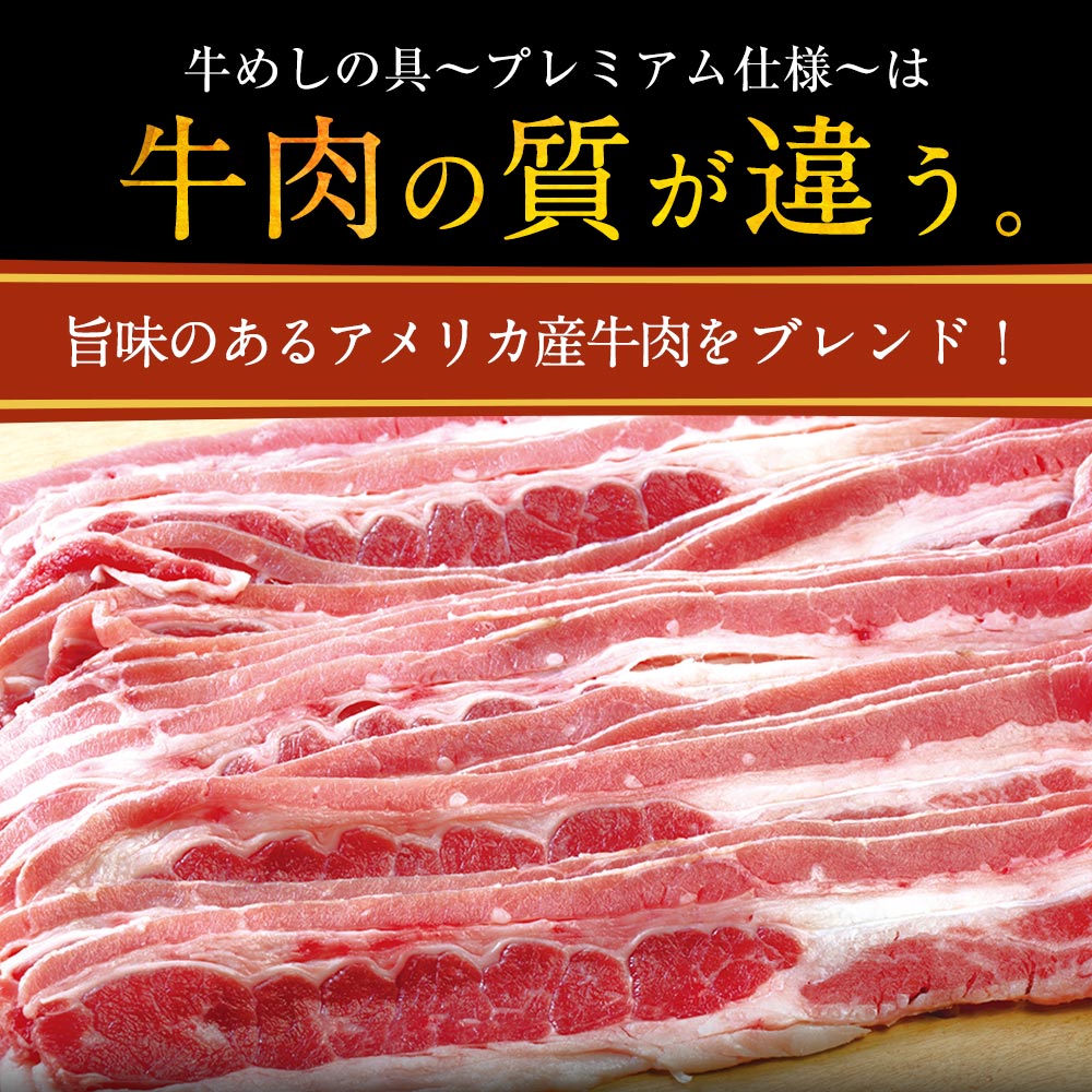 【限定クーポンで20%OFF】乳酸菌入り米国産牛めし10個セット