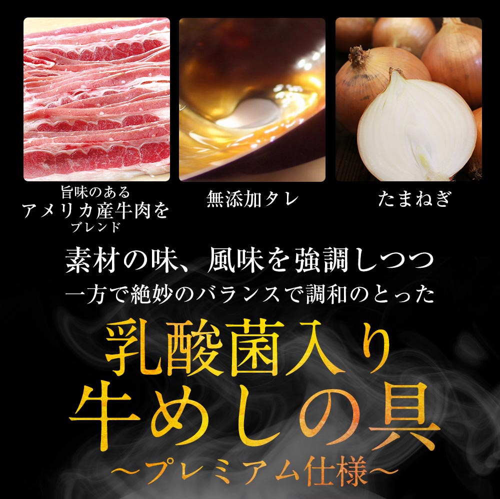 【限定クーポンで20%OFF】乳酸菌入り米国産牛めし10個セット
