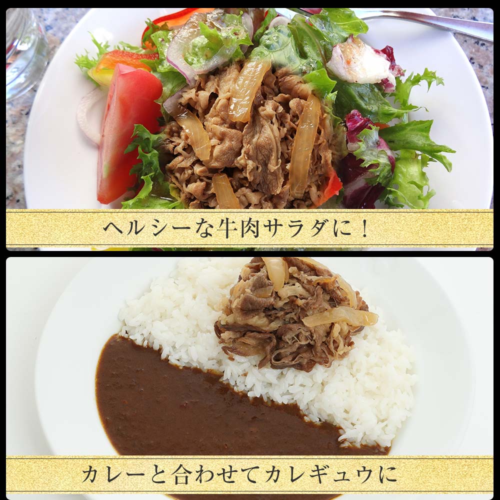 【限定クーポンで20%OFF】乳酸菌入り米国産牛めし10個セット