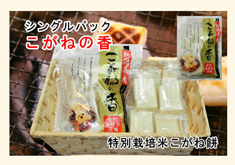 【送料込み】新潟県 JA越後ながおか農協産杵つきこがね餅 360g8枚入1パックシングルパック包装