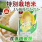 【送料込み】令和５年産 コシヒカリ 玄米 新潟県 JA越後ながおか農協新潟県産 特別栽培米 コシヒカリ 30kg