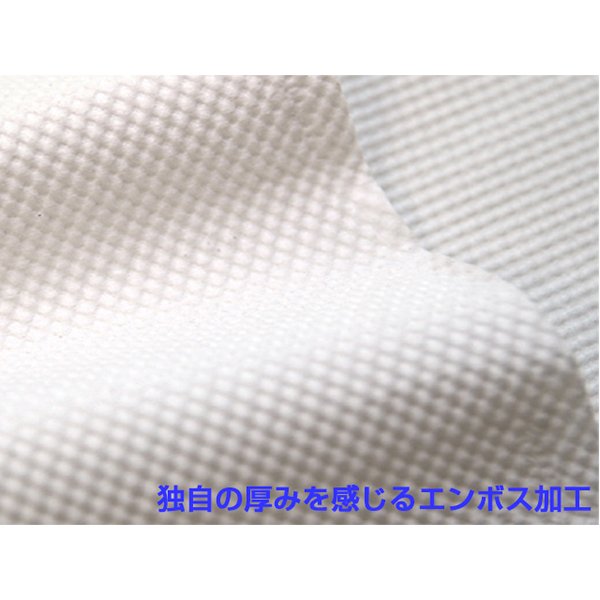 水に流せるペット用後処理ペーパー マスコー製紙 トイレ流せます100W 3個入りＸ16パック
