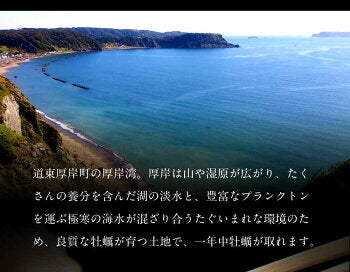合計2kg 2L(12-17個) 北海道産 生牡蠣  厚岸産 産地直送