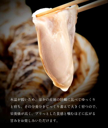 合計2kg L(15-20個) 北海道産 生牡蠣 厚岸産 産地直送
