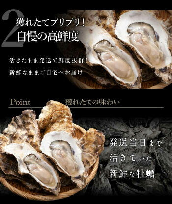 合計2kg L(15-20個) 北海道産 生牡蠣 厚岸産 産地直送