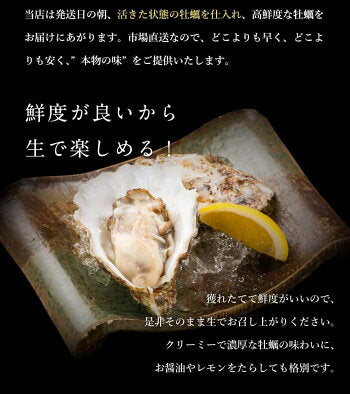 合計2kg S(25-30個) 北海道産 生牡蠣 厚岸産 産地直送