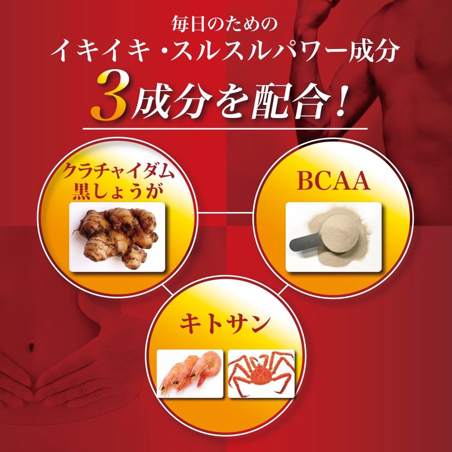 ダイエット 燃焼系 サプリ 30日分 ナマサプリ