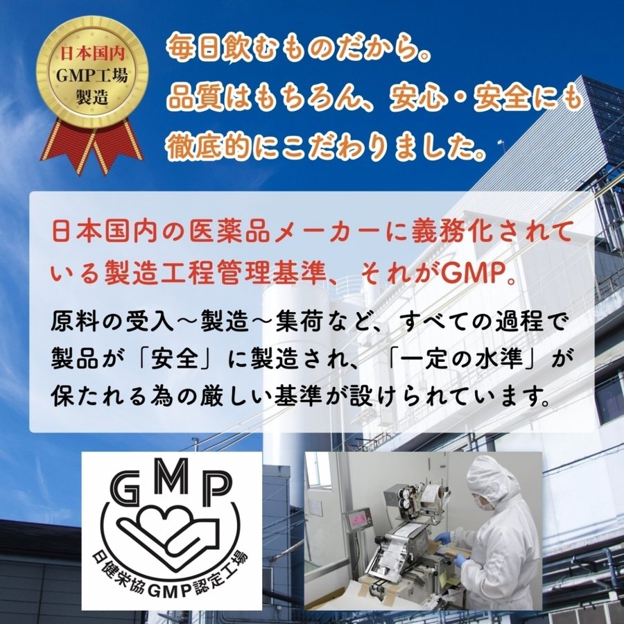 ビタミンB群 サプリメント 30日分 ナマサプリ