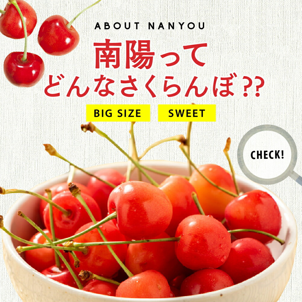 【先着10購入限定・15%OFF】早割【7月中旬発送/予約】 南陽 さくらんぼ 800g Lサイズ