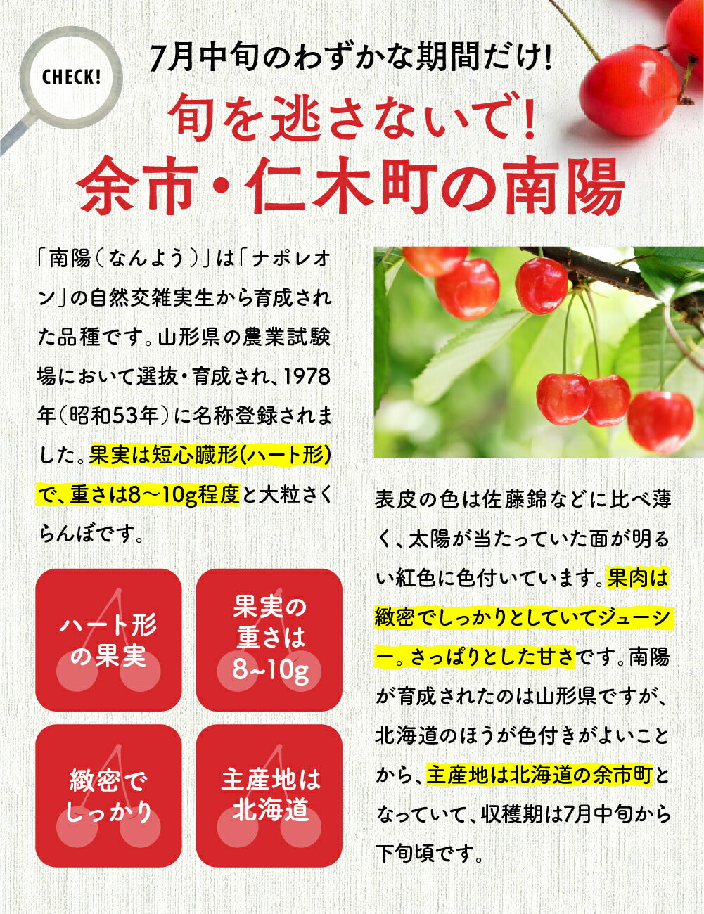 早割【7月中旬発送/予約】 南陽 さくらんぼ 800g Lサイズ