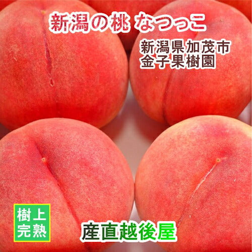 【フルーツ もも 桃 完熟桃 送料無料】新潟県 加茂市 金子果樹園新潟の新たな桃 なつっこ 5kg（16～18個)厳選した桃 化粧箱入り【お取り寄せ モモ 果実 贈答品 ギフト】