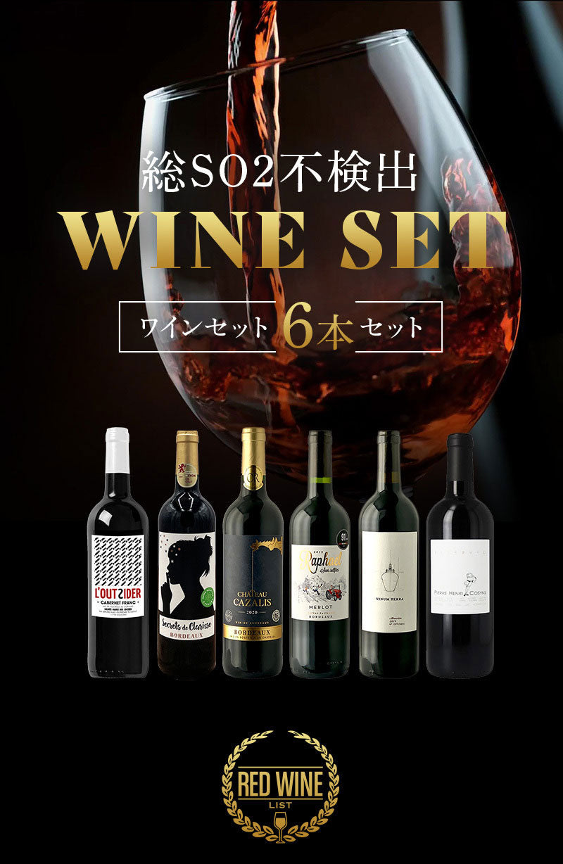 【送料無料】ワイン オーガニック 自然派 ボルドー ヴァンナチュールワインセット [750ml×6本] 【北海道・東北・四国・九州・沖縄県は必ず送料がかります】