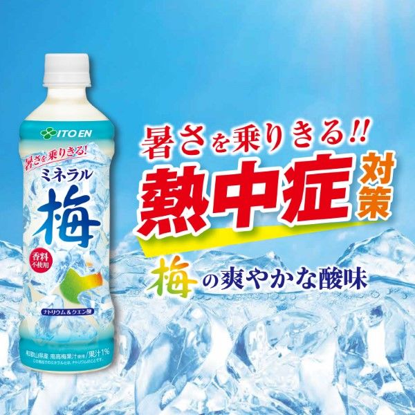 【送料無料】伊藤園 ミネラル梅 500ml×1ケース/24本【熱中症】【熱中症対策】