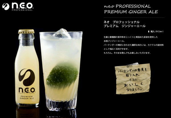 友桝飲料 n.e.o（ネオ）プレミアムジンジャーエールギフト 95ml 瓶 16本入 〔炭酸飲料〕