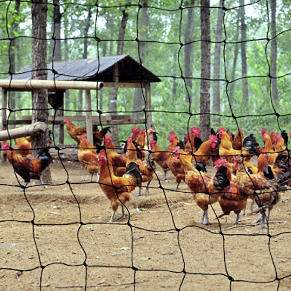 鳥よけネット 畑 ネット  3m×30m ブラック バードネット 長さカット 可能 防鳥ネット カラス対策 からすよけ ゴミネット 家庭菜園ネット 農業用品 資材 ベランダ 鳥よけ 網 田畑 鳥害対策 ハト ツバメ スズメ 雀 極細タイプ