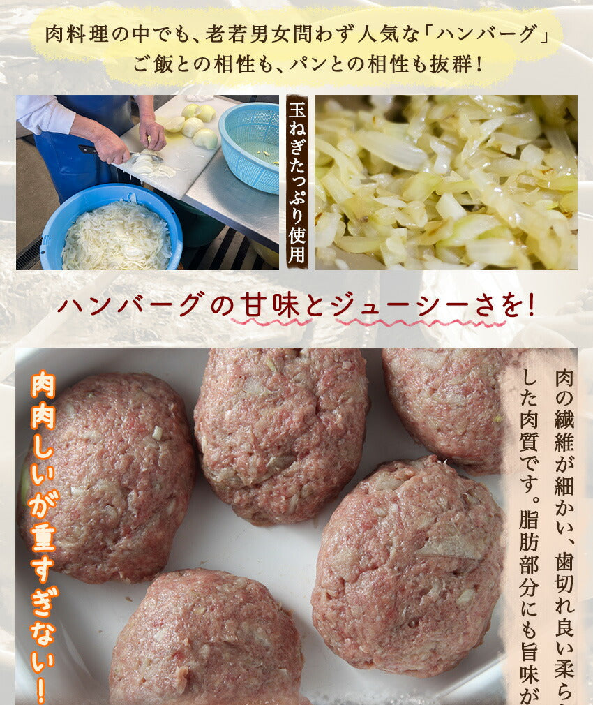 柔らかジューシーハンバーグ(10パック)