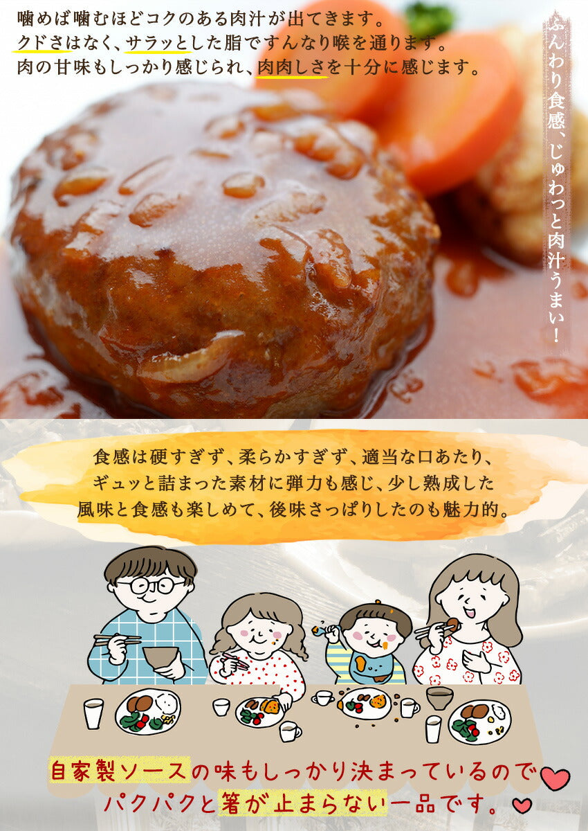 柔らかジューシーハンバーグ(10パック)