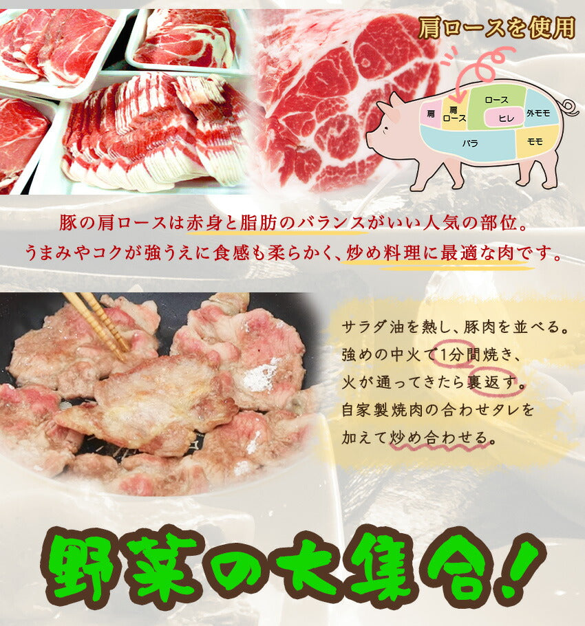 具たくさん肉野菜炒め(10パック)