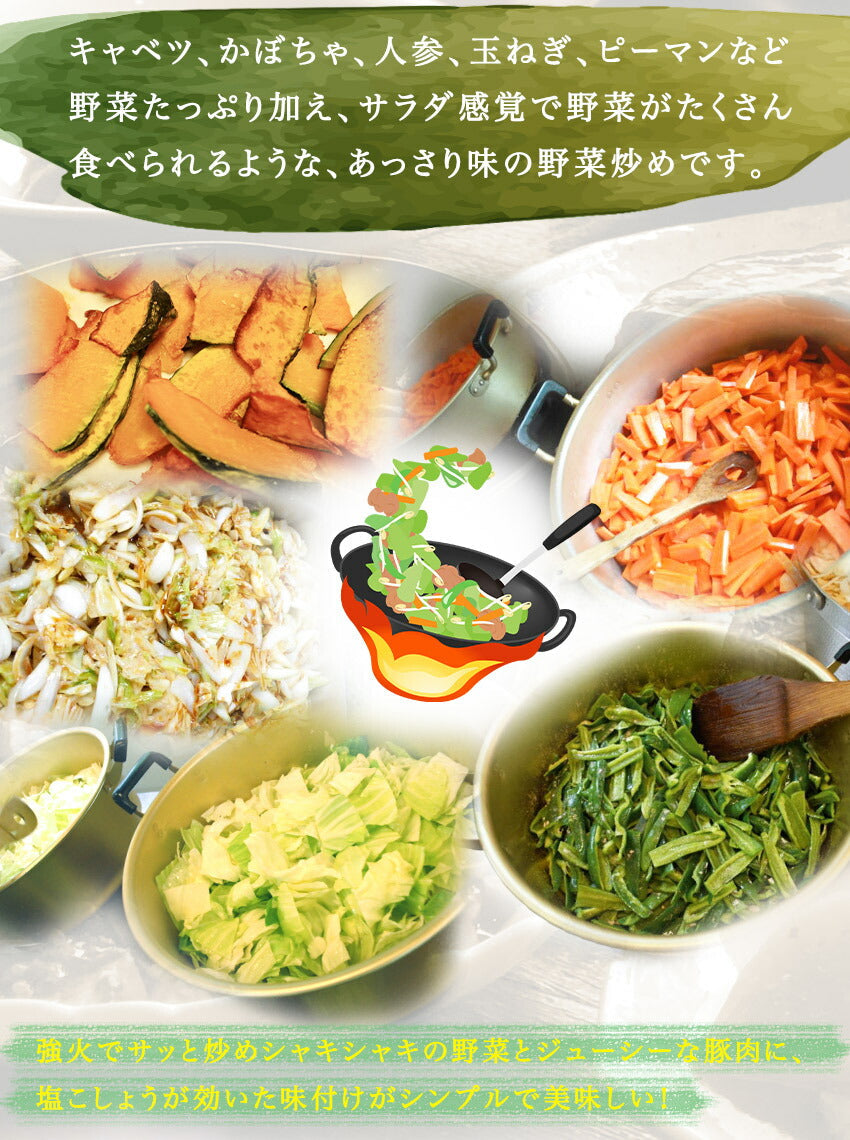 具たくさん肉野菜炒め(10パック)