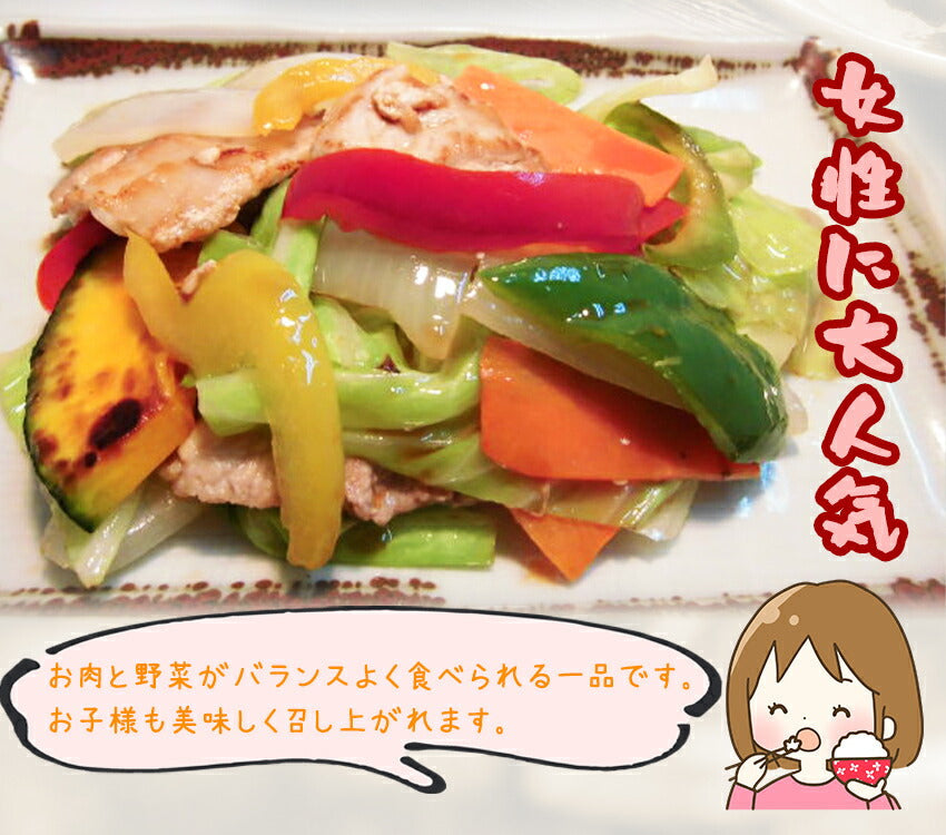 具たくさん肉野菜炒め(10パック)
