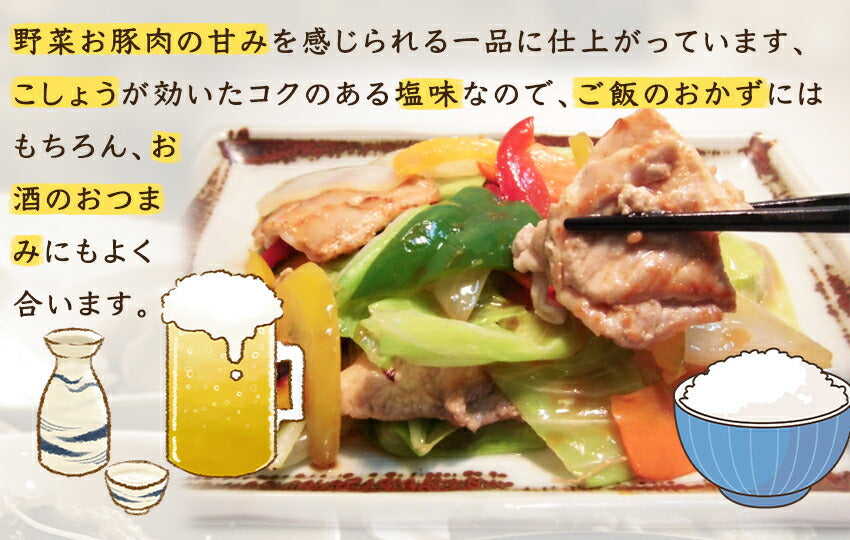 具たくさん肉野菜炒め(10パック)