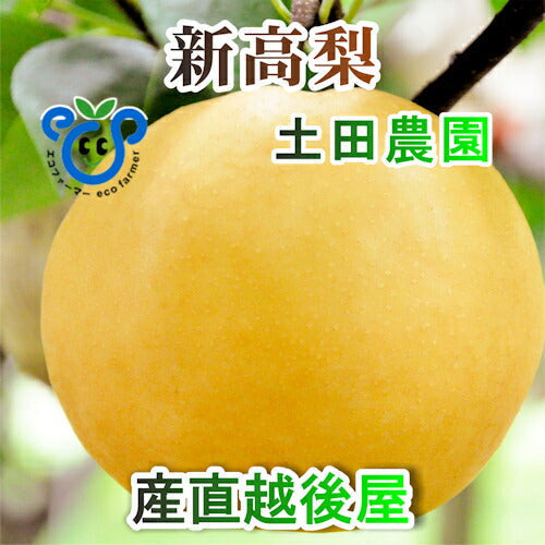 【フルーツ 梨 和梨 新高 送料無料】新潟県 エコファーマー認定農園 土田農園 有機栽培 新高梨 家庭用 10kg(12個～14個）樹上完熟梨【なし 贈答品 プレゼント】