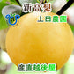 【フルーツ 梨 和梨 新高 送料無料】新潟県 エコファーマー認定農園 土田農園 有機栽培 新高梨 贈答用 10kg(12個～14個）樹上完熟梨【なし 贈答品 プレゼント】