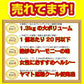 餃子 100個 冷凍食品 訳あり